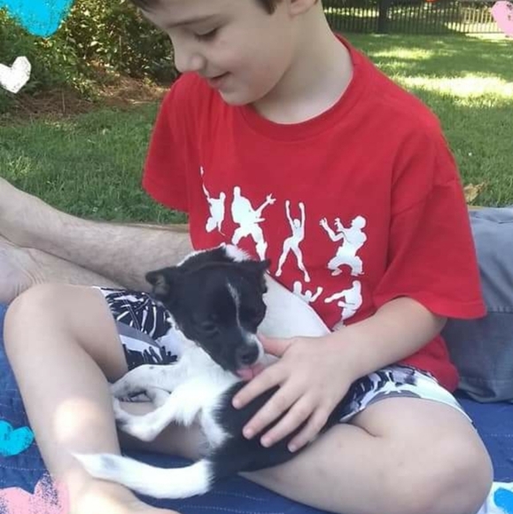 Updated: Why I Posh 🐶 🐈 - Picture 11 of 11